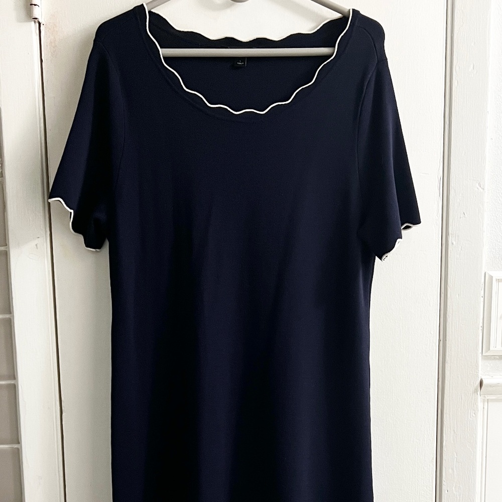 ANN TAYLOR dress